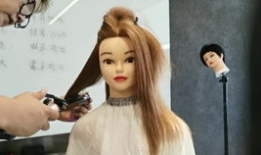 美发视频,轻松掌握时尚发型步骤解析